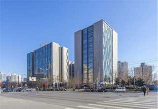 云南倚邦贡茶普洱茶价格表